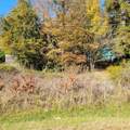 3079 Riverwatch Parkway - Photo 12