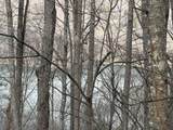Lot #12 Lake Vista Circle - Photo 4