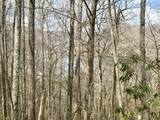 Lot #12 Lake Vista Circle - Photo 7