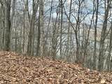Lot #12 Lake Vista Circle - Photo 8