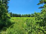 1315 Nc 43 Highway - Photo 48