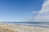 1308 Sand Dollar Court - Photo 21