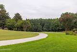 157 Pleasant Colony Drive - Photo 55