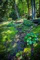 1620 Buffalo Road - Photo 39