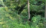 Lot 3 Fires Creek Road - Photo 21