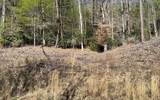 Lot 3 Fires Creek Road - Photo 3