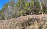 Lot 3 Fires Creek Road - Photo 4