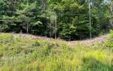 Lot 3 Fires Creek Road - Photo 9