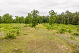 3776 Mt Zion Church Road - Photo 10
