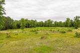 3776 Mt Zion Church Road - Photo 3