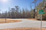 266 Sterling Colson Way - Photo 50