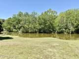132 Bluegill Circle - Photo 17