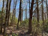 4.90 Wayah Road - Photo 3