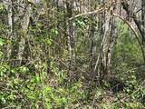 4.90 Wayah Road - Photo 5