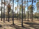 0 Norfleet Shores Road - Photo 10