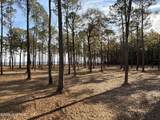 0 Norfleet Shores Road - Photo 19