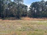 1609 Caracara Drive - Photo 2
