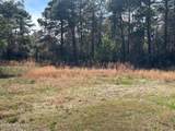 1609 Caracara Drive - Photo 4