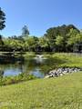 53a, 53b Nolen Street - Photo 10