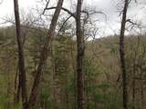55 Greasey Creek Road - Photo 3