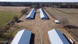 16681 Lauch Blue Road - Photo 4