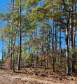 Lot 197 Fletcher Key Street - Photo 1