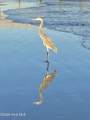928 Great Egret Circle - Photo 30