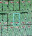 1427 Lincoln Street - Photo 2