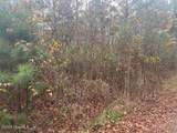 0 Wooded Acres Road - Photo 5