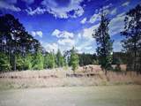 1019 Eagles Nest Trail - Photo 1