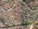 Lot 5 Mountain Tabor - Photo 12