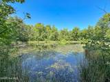 6375 Swanns Station Road - Photo 116