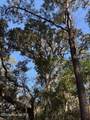2 Gray Fox Court - Photo 6