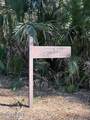 2 Gray Fox Court - Photo 8