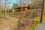 262 Zekes Trail - Photo 3