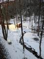 262 Zekes Trail - Photo 39