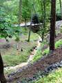 262 Zekes Trail - Photo 42
