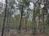 Lot 11 Highway 88 - Photo 2