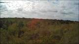 Lot 11 Highway 88 - Photo 3