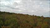 Lot 11 Highway 88 - Photo 4