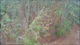 Lot 11 Highway 88 - Photo 6