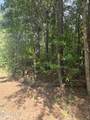 0 Deer Run Court - Photo 7