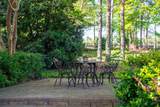 275 Homeward Bound Drive - Photo 59