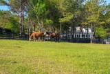 275 Homeward Bound Drive - Photo 9