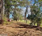 4803 Andrew Jackson Highway - Photo 16
