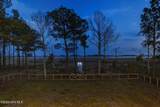 135 Heron Cove Road - Photo 87