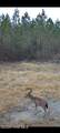0 Maules Point Road - Photo 13