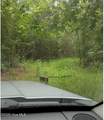 0 Maules Point Road - Photo 3