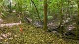 184 Beaver Ridge Road - Photo 55