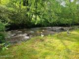 1215 Davis Creek Road - Photo 2